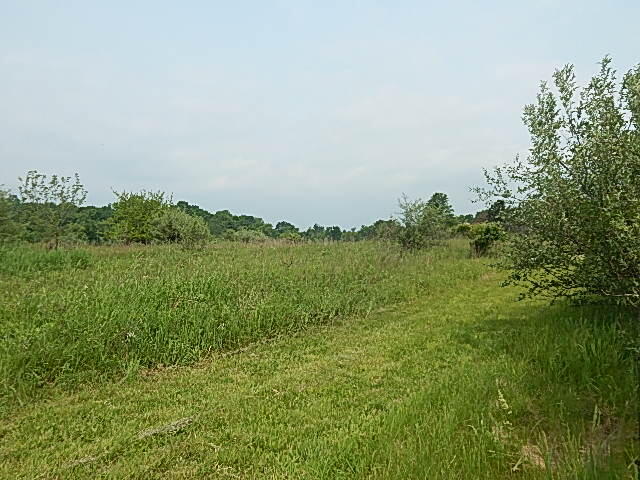 Homes for sale in Stockbridge, MI | 2855 Oakley Rd, Stockbridge, MI 49285 | MLS# 70509940