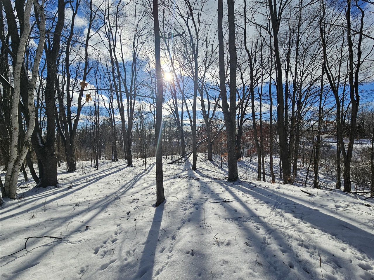 3044 S 29 Road, Cadillac, MI, 49601