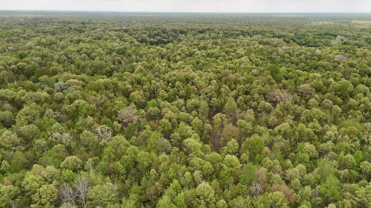 Homes for sale in Coleman, MI | N Magruder Rd, Coleman, MI 48618 | MLS# 70510219