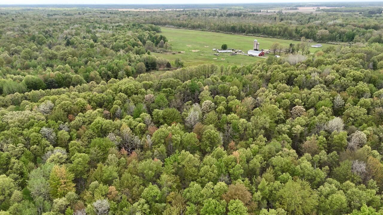 Homes for sale in Coleman, MI | N Magruder Rd, Coleman, MI 48618 | MLS# 70510219