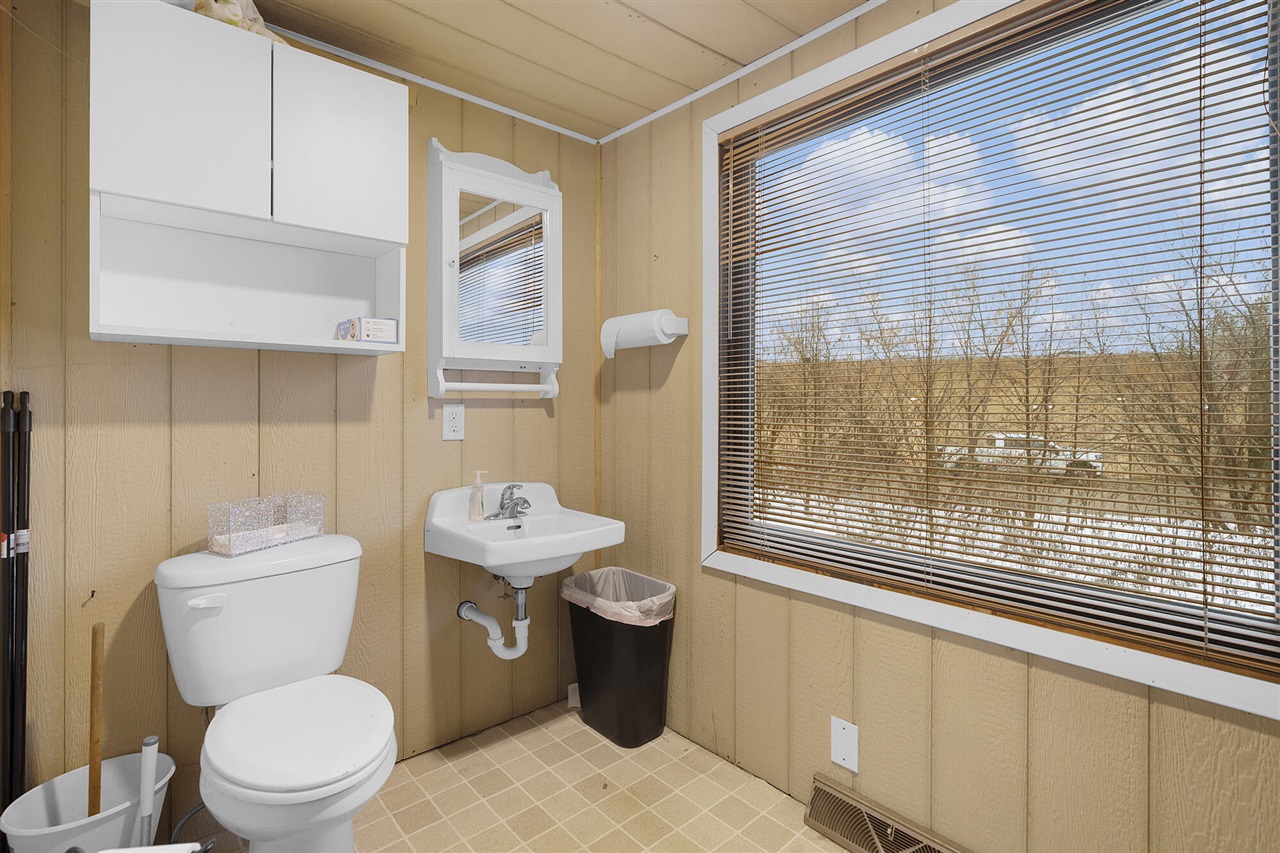 491 Arlington Street, Middleville, MI, 49333-9701