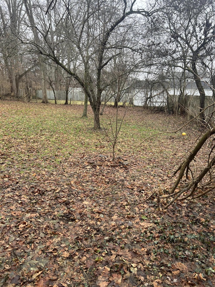 914 W Maumee Street, Adrian, MI, 49221-1916