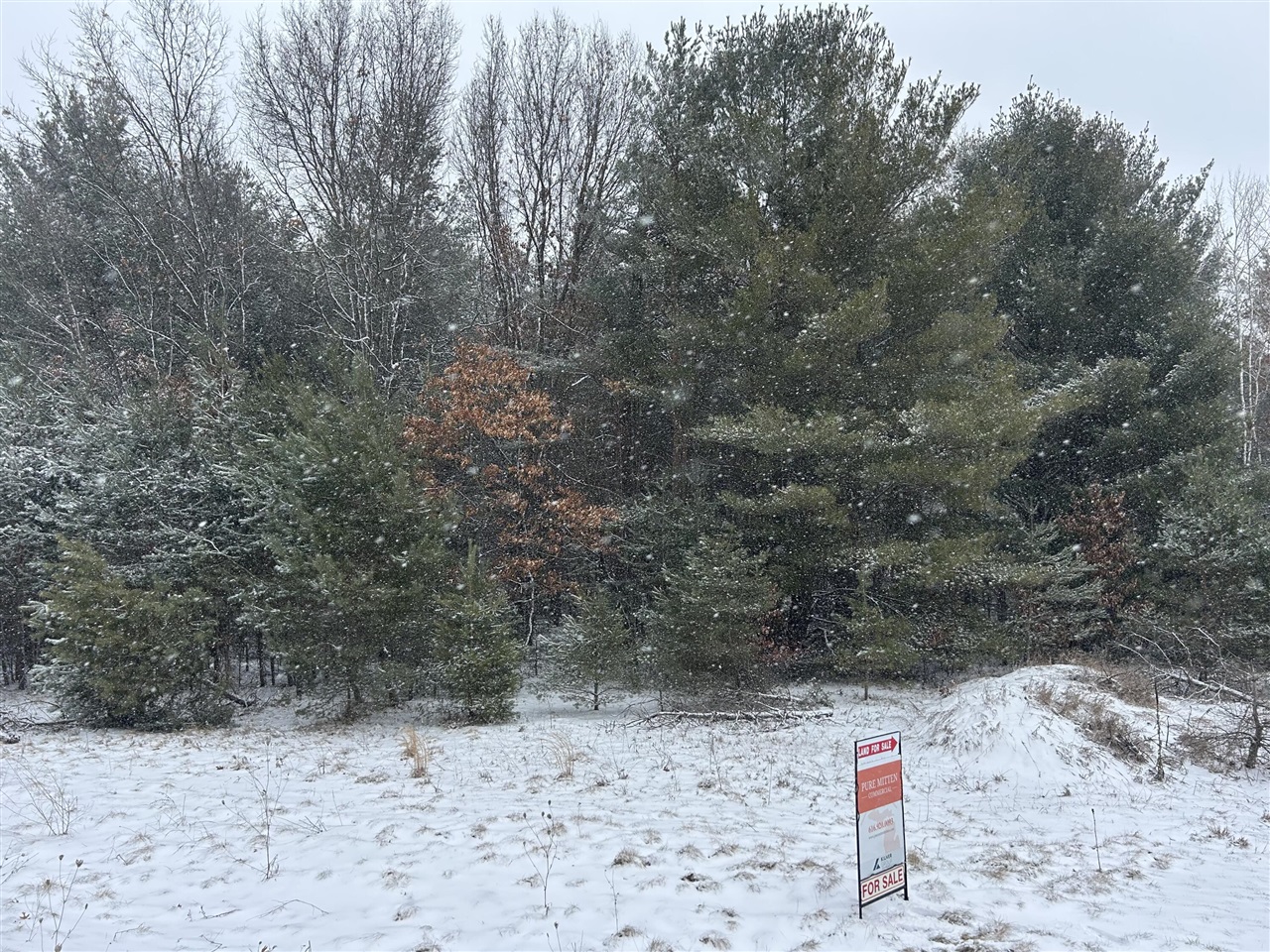 1st image of 9530 Federal Rd, Howard City, MI 49329 | MLS# 70510558