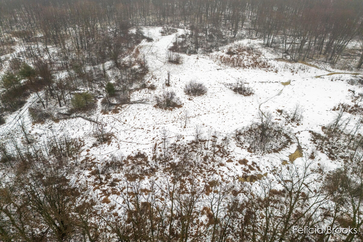 17580 Pine Lake Avenue, Sand Lake, MI, 49343-8757