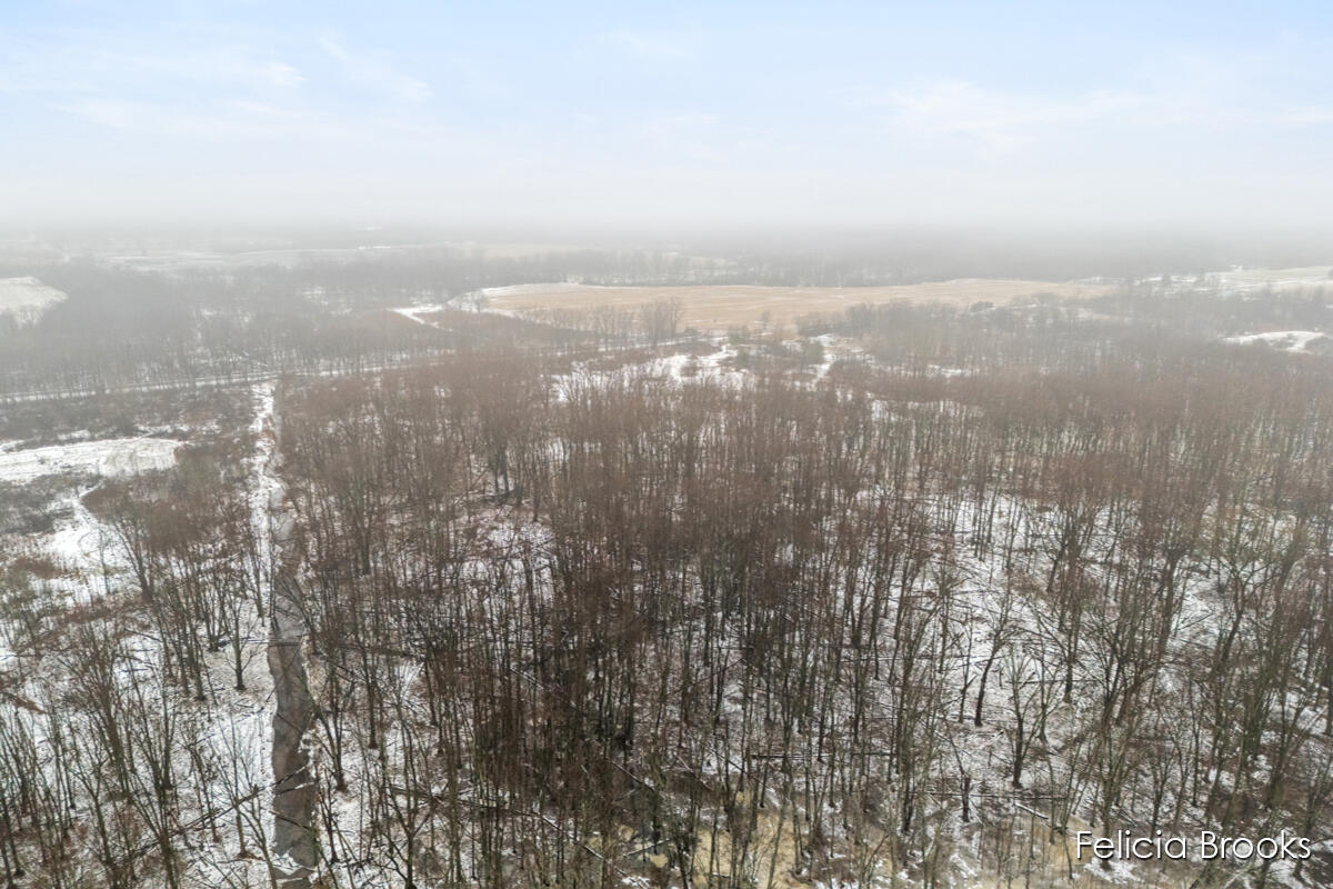 17590 Pine Lake Avenue, Sand Lake, MI, 49343-8757