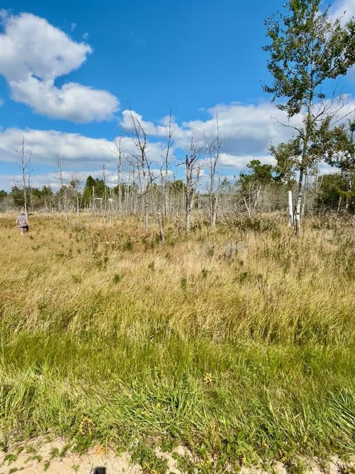1st image of Lot 17, W Fairway St, Onekama, MI 49675 | MLS# 70510745