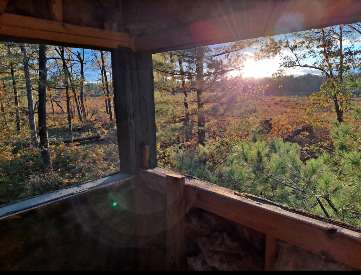 Homes for sale in Chase, MI | 7423 S Nelson Rd, Chase, MI 49623 | MLS# 70510883