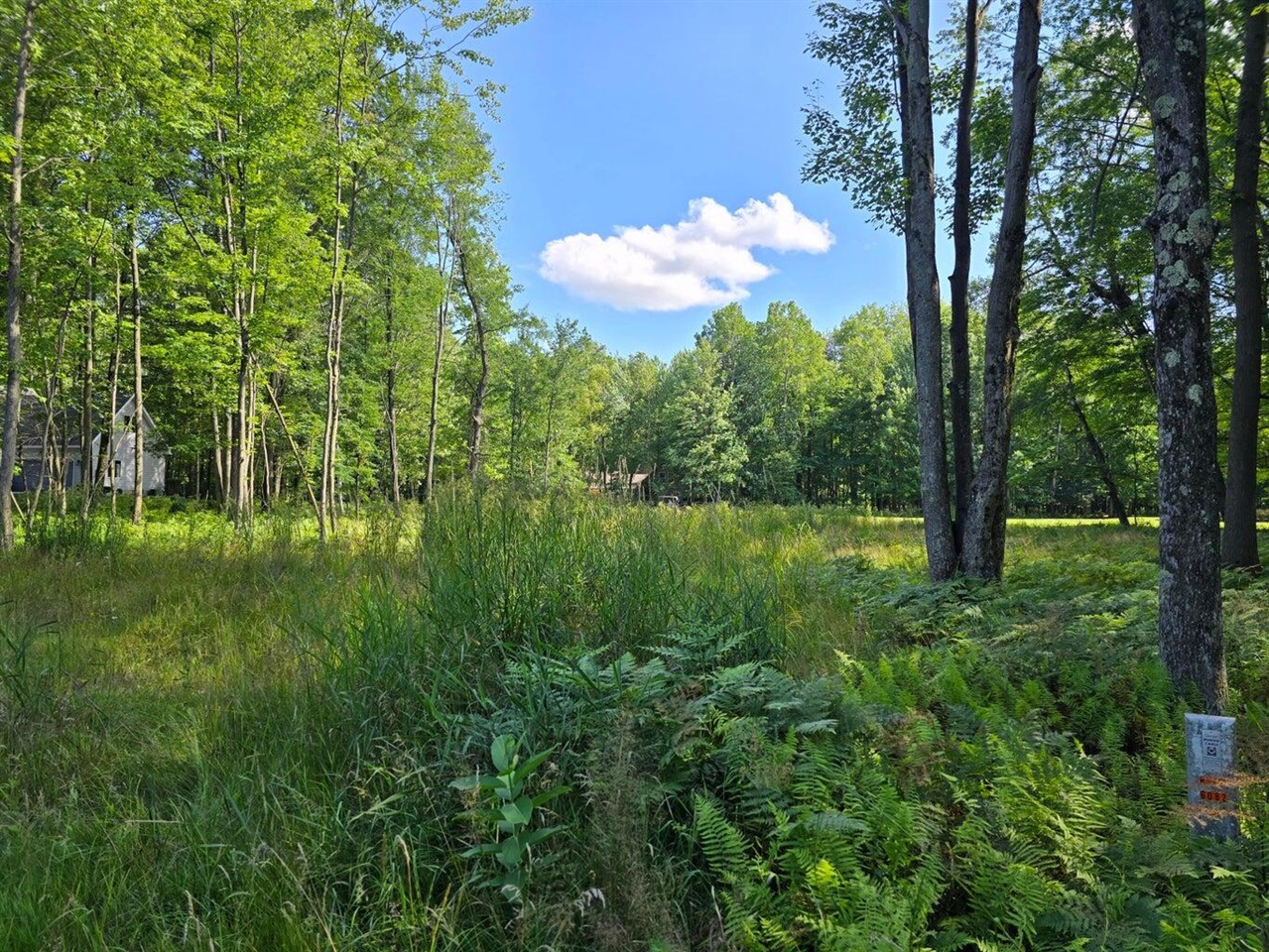 9397 Sunset Drive, Stanwood, MI, 49346-8780