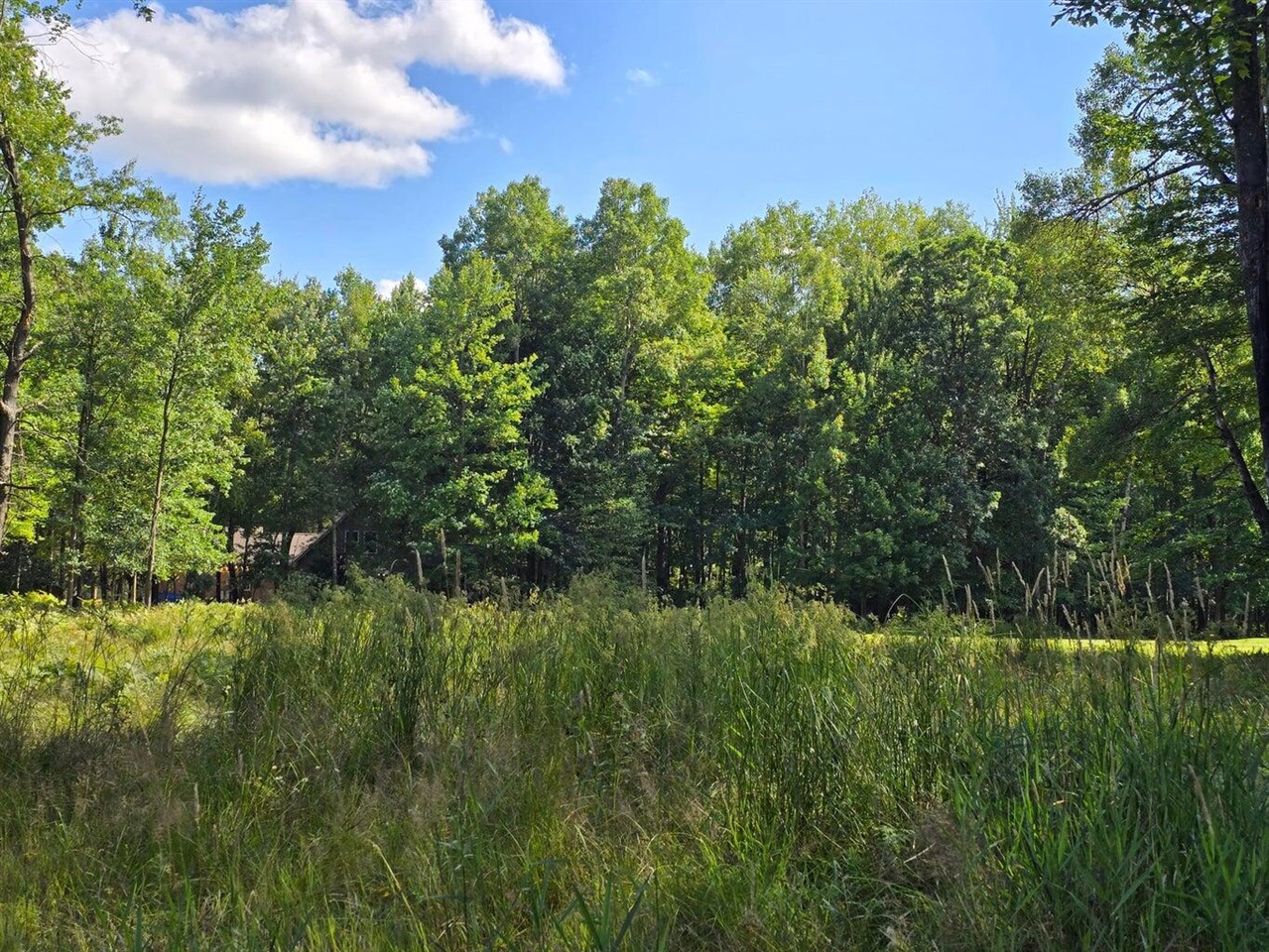 9397 Sunset Drive, Stanwood, MI, 49346-8780