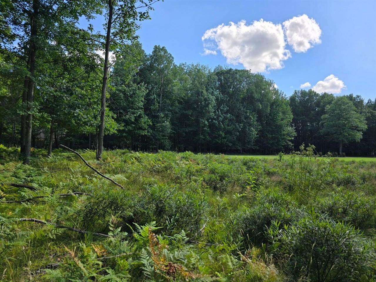 9397 Sunset Drive, Stanwood, MI, 49346-8780