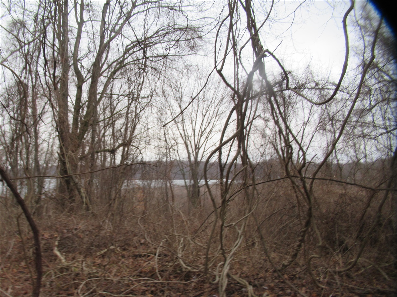 Homes for sale in Cassopolis, MI | 17673 Long Lake Dr, Cassopolis, MI 49031 | MLS# 70511043