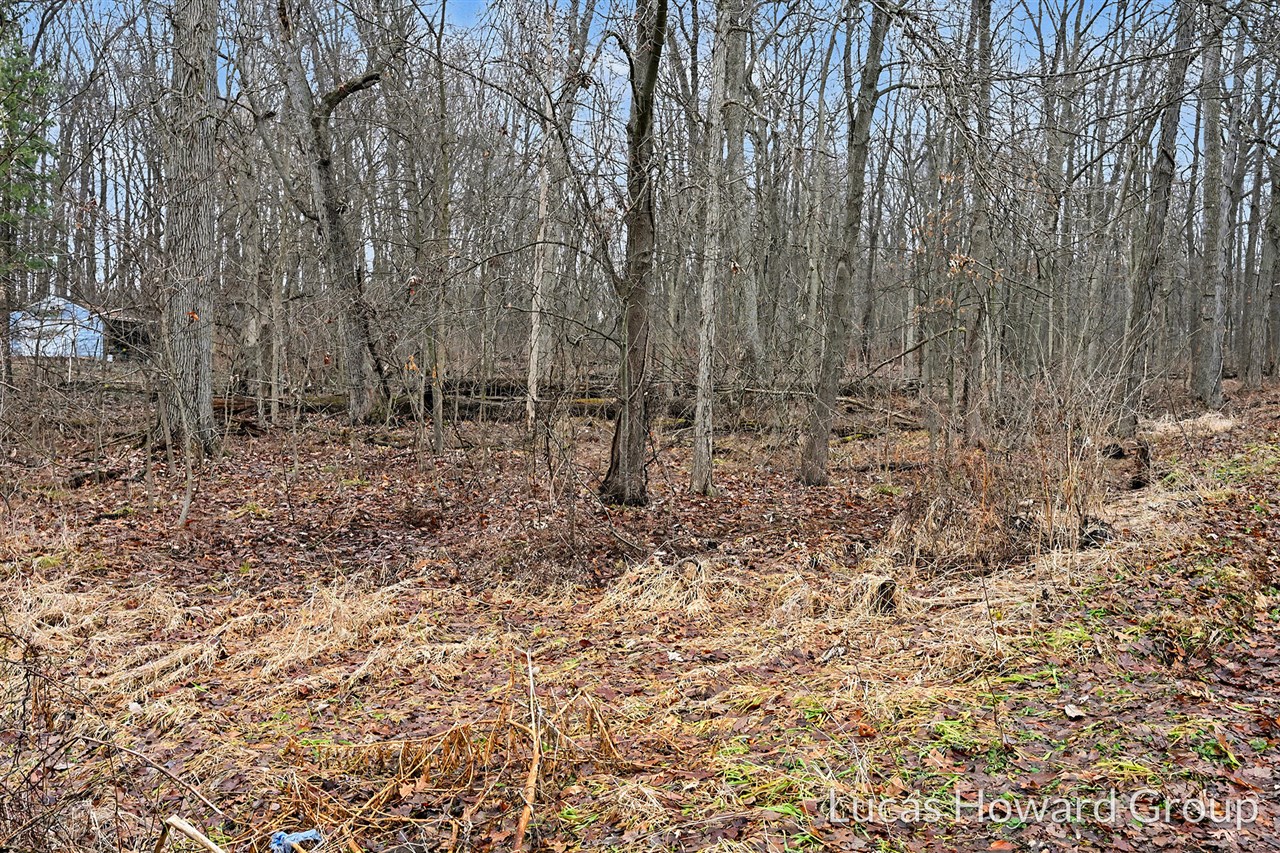 VL E Tu Avenue, Vicksburg, MI, 49097-8441