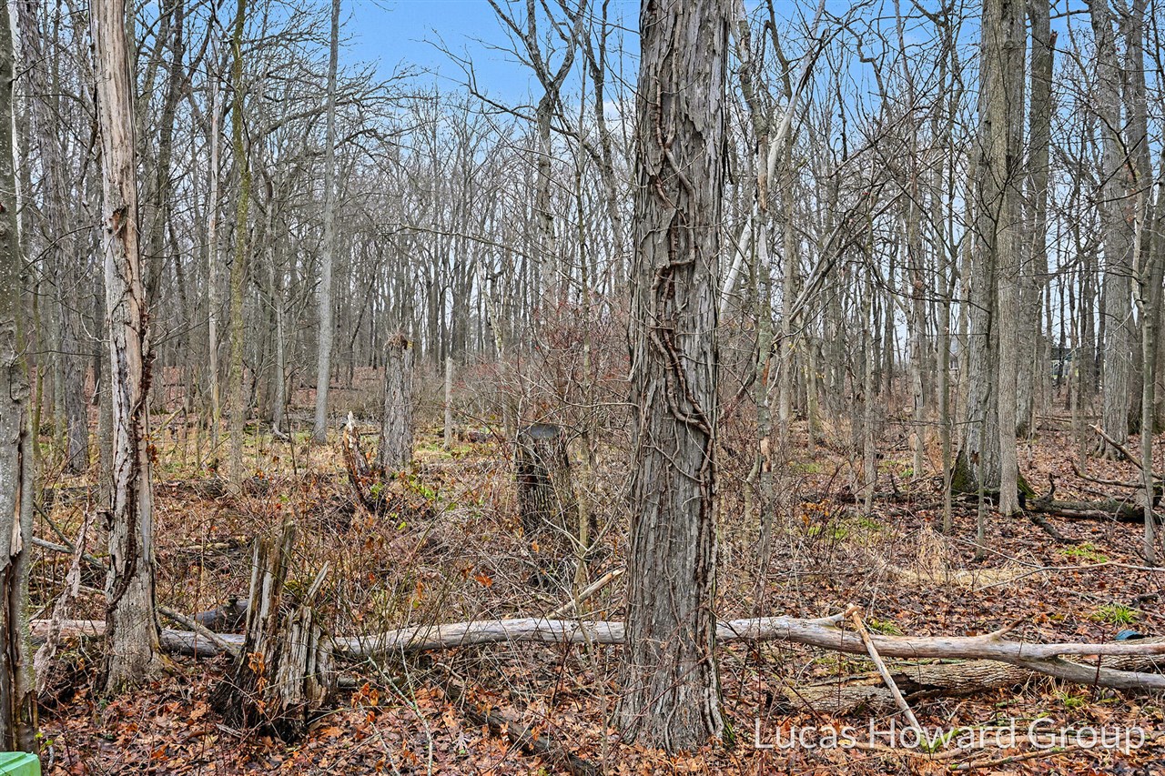 VL E Tu Avenue, Vicksburg, MI, 49097-8441