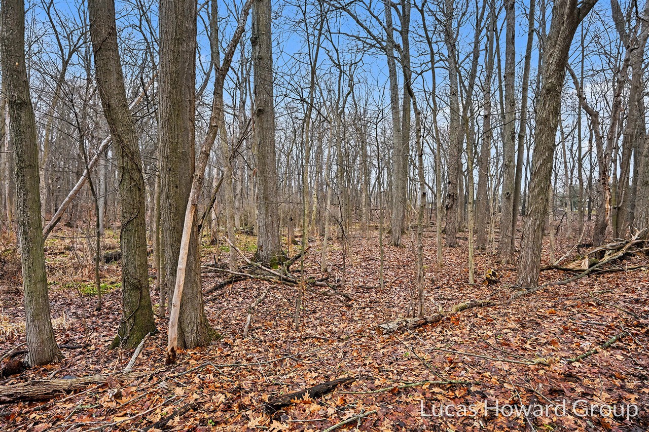 VL E Tu Avenue, Vicksburg, MI, 49097-8441