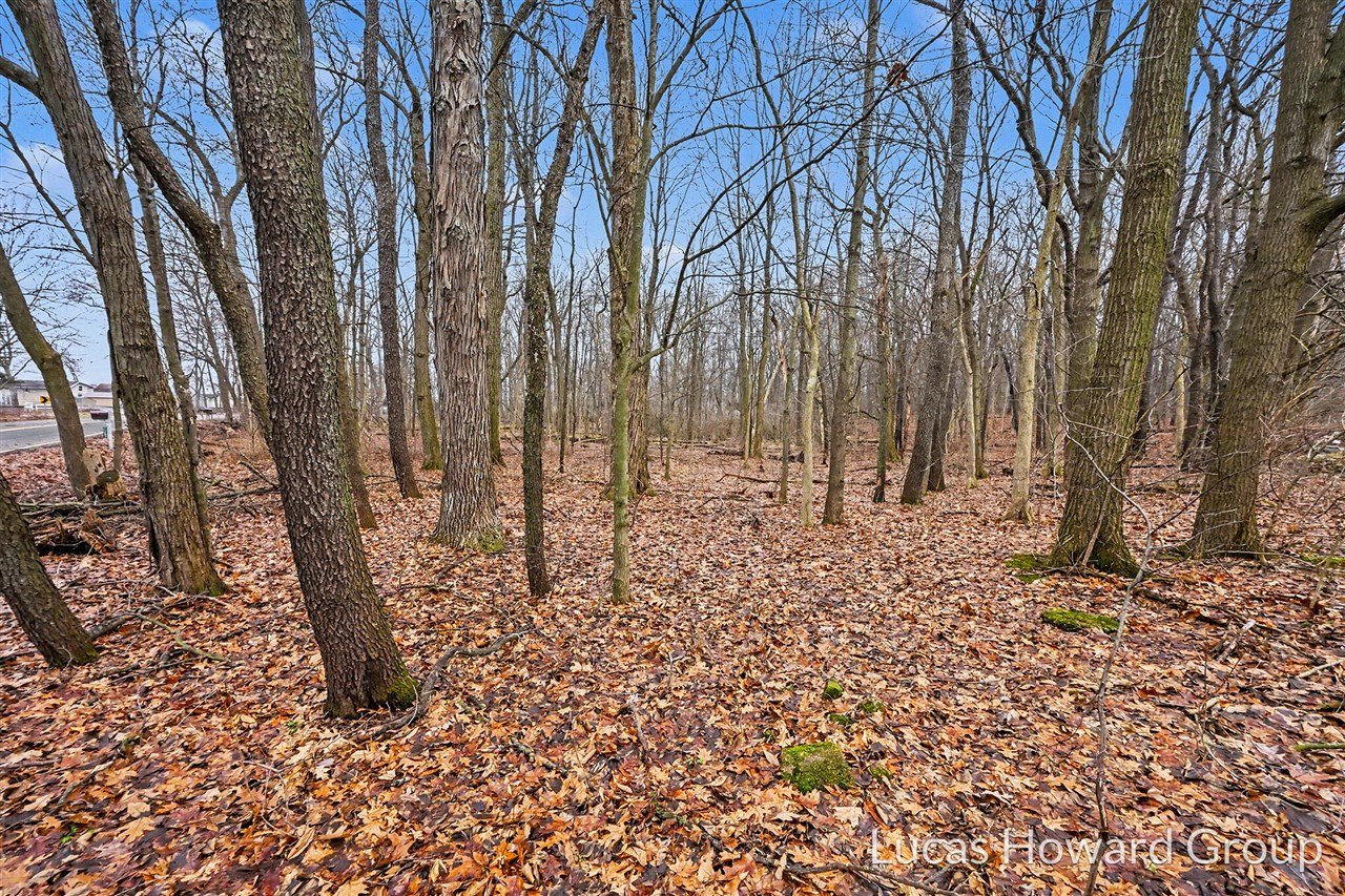 VL E Tu Avenue, Vicksburg, MI, 49097-8441