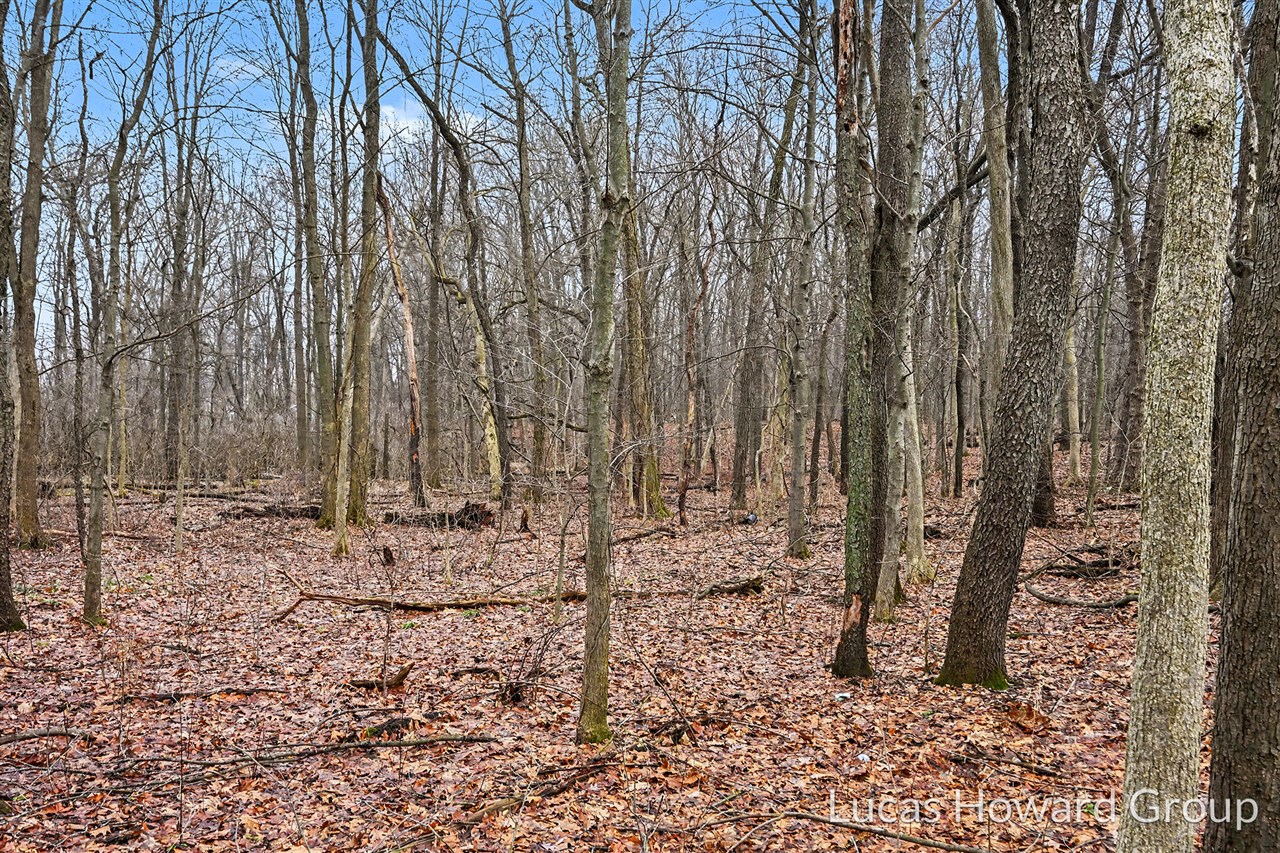 VL E Tu Avenue, Vicksburg, MI, 49097-8441