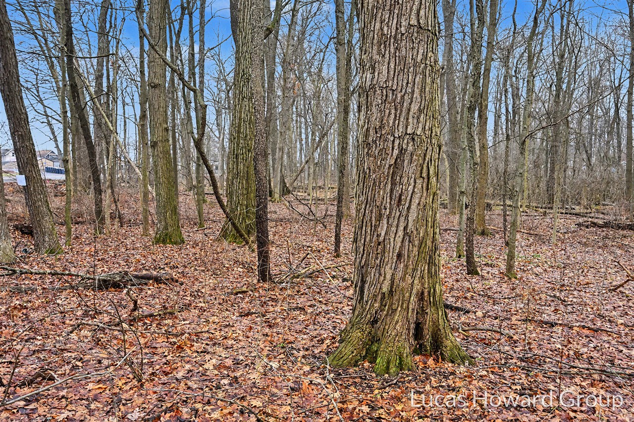 VL E Tu Avenue, Vicksburg, MI, 49097-8441
