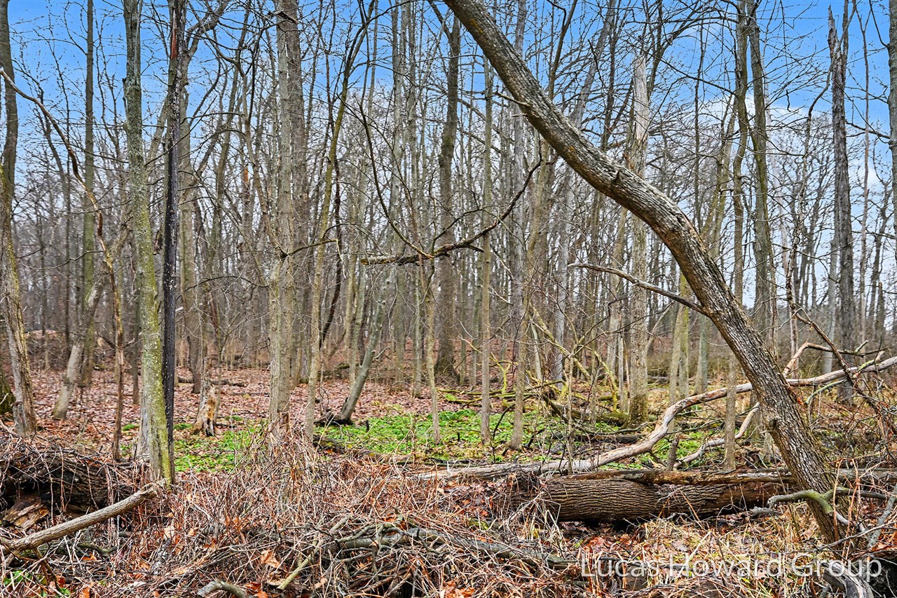 VL E Tu Avenue, Vicksburg, MI, 49097-8441