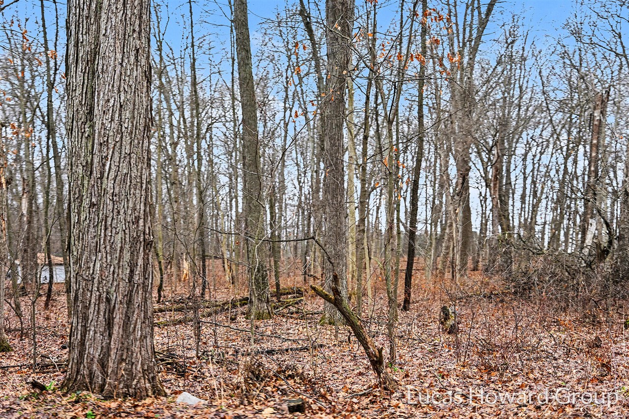 VL E Tu Avenue, Vicksburg, MI, 49097-8441