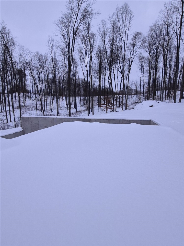 16314 Mitchell Creek Trail, Big Rapids, MI, 49307-1114