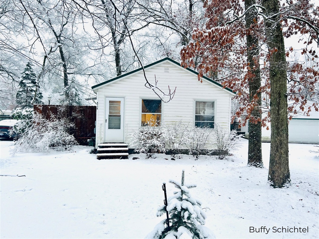 6716 Chapman Avenue, Newaygo, MI, 49337-9584