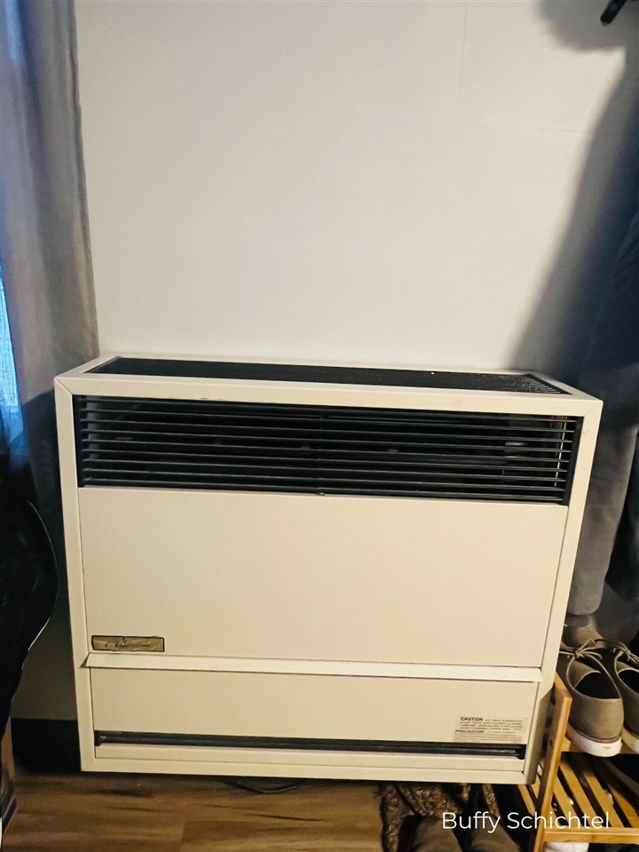 6716 Chapman Avenue, Newaygo, MI, 49337-9584