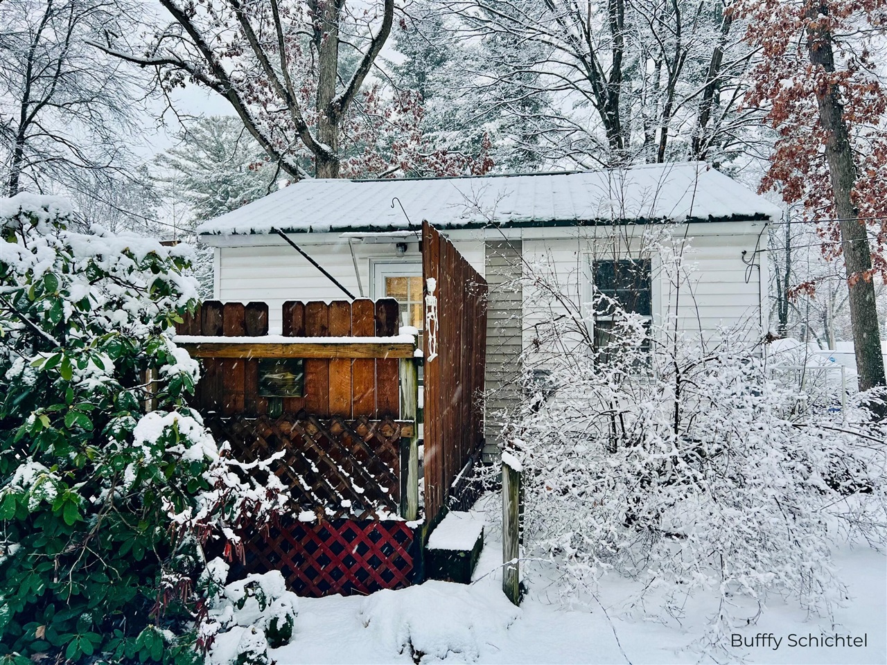 6716 Chapman Avenue, Newaygo, MI, 49337-9584