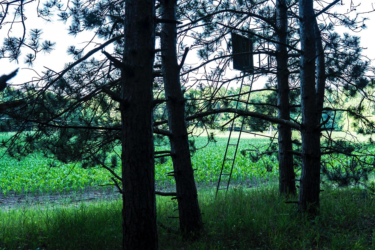 E Street, Grant, MI, 49327-9654