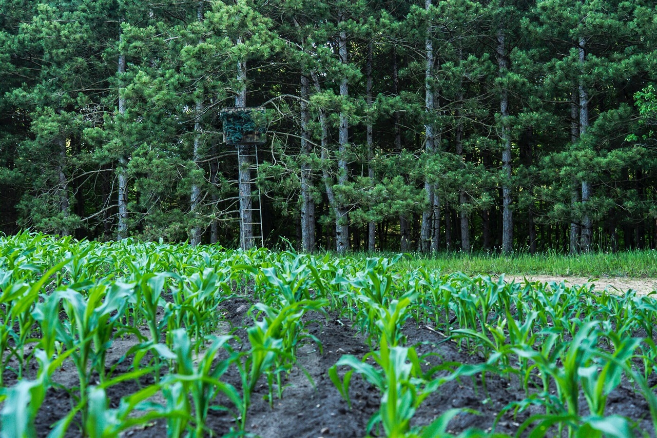 E Street, Grant, MI, 49327-9654