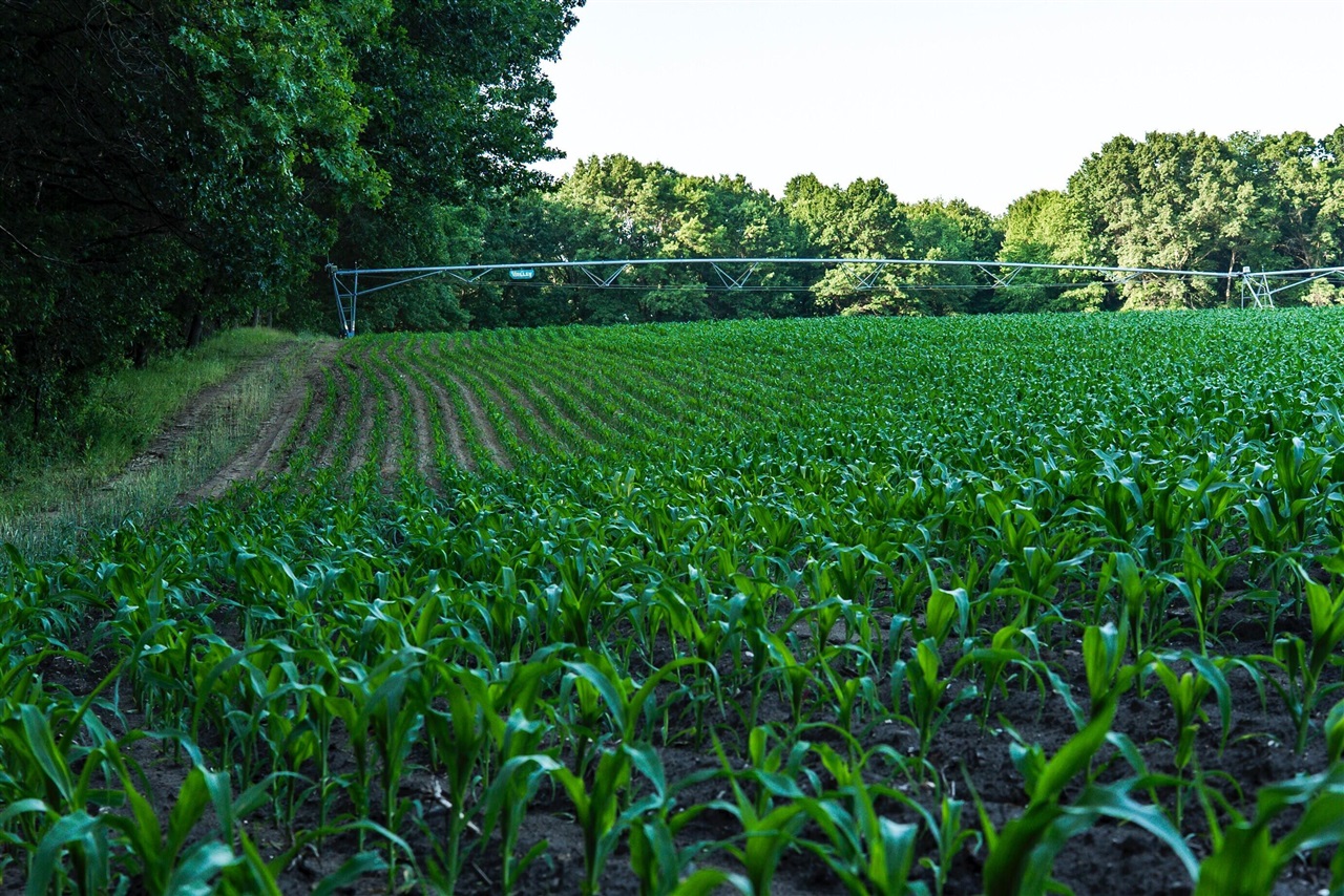 E Street, Grant, MI, 49327-9654