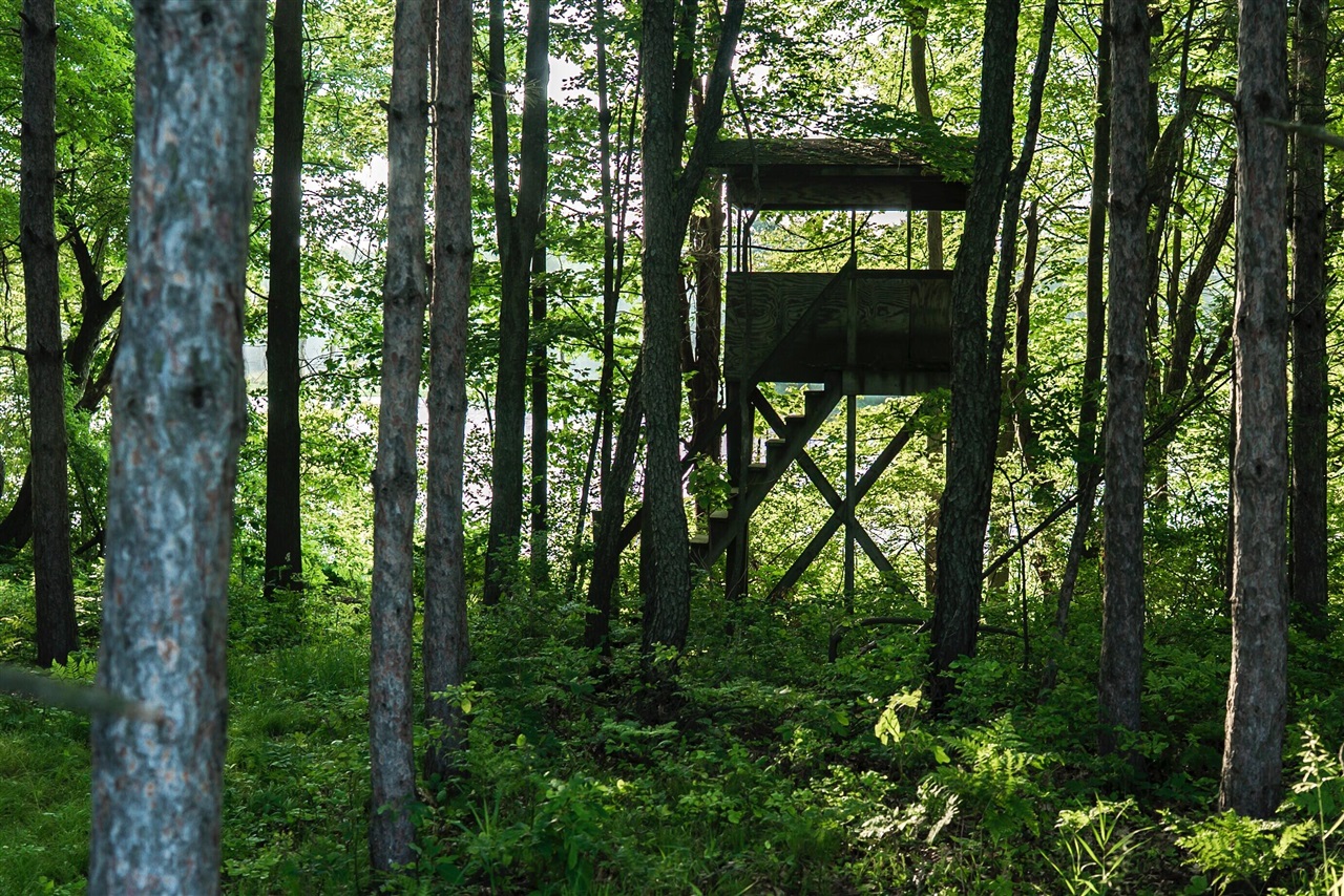 E Street, Grant, MI, 49327-9654