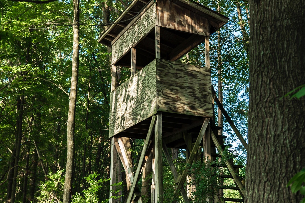 E Street, Grant, MI, 49327-9654