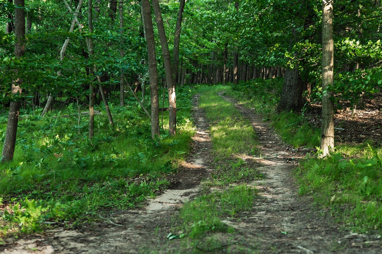 E Street, Grant, MI, 49327-9654