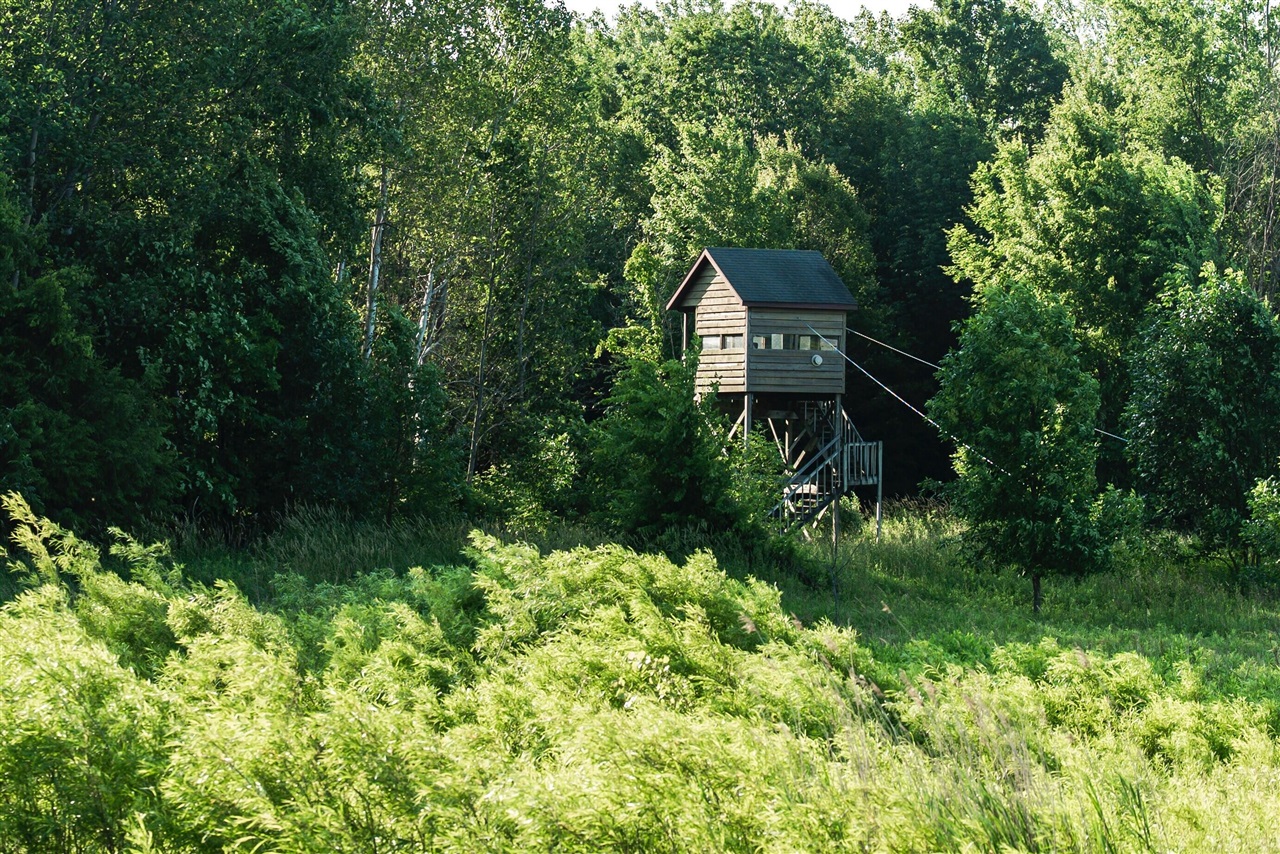 E Street, Grant, MI, 49327-9654