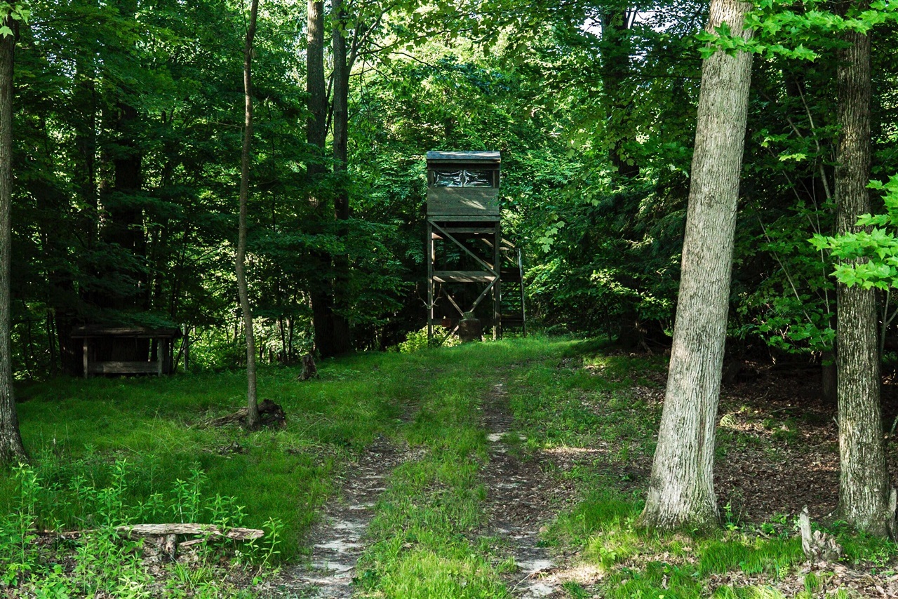 E Street, Grant, MI, 49327-9654