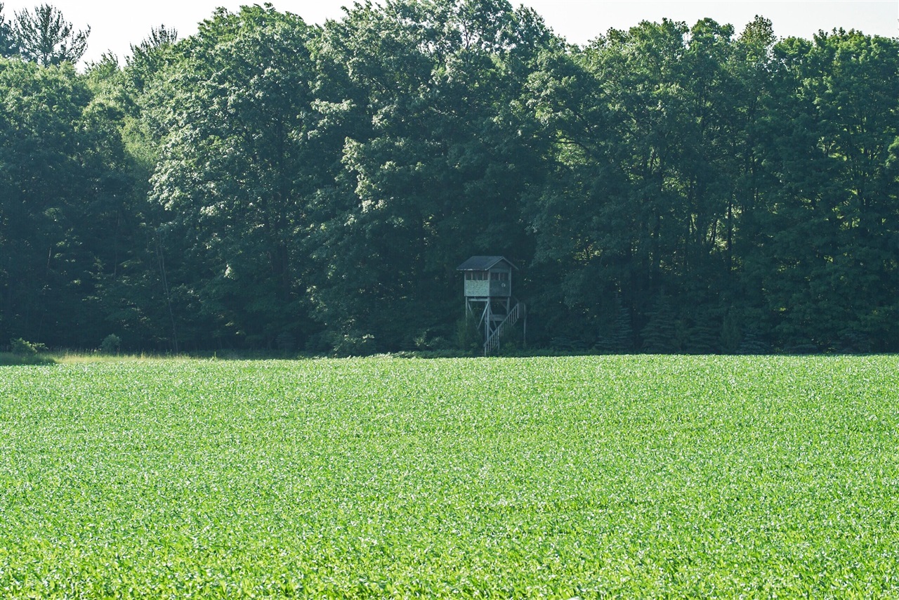 E Street, Grant, MI, 49327-9654