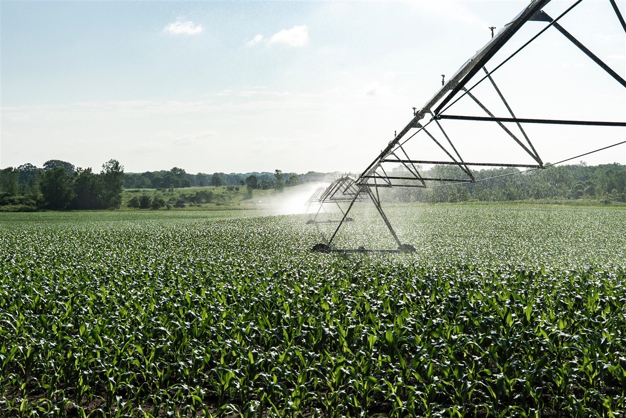 E Street, Grant, MI, 49327-9654