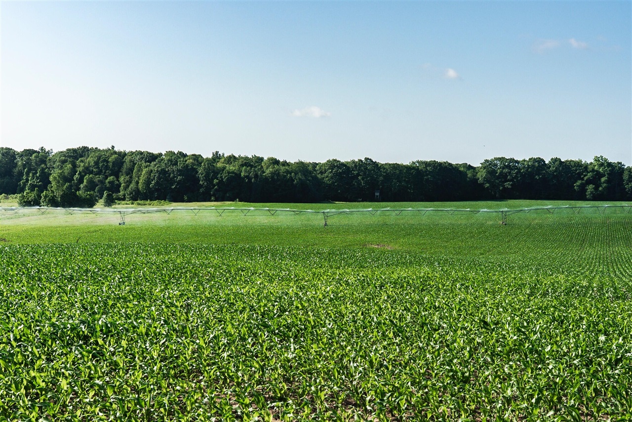 E Street, Grant, MI, 49327-9654