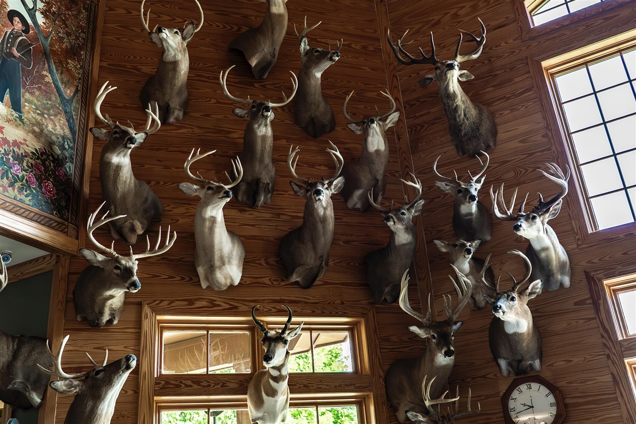 E Street, Grant, MI, 49327-9654