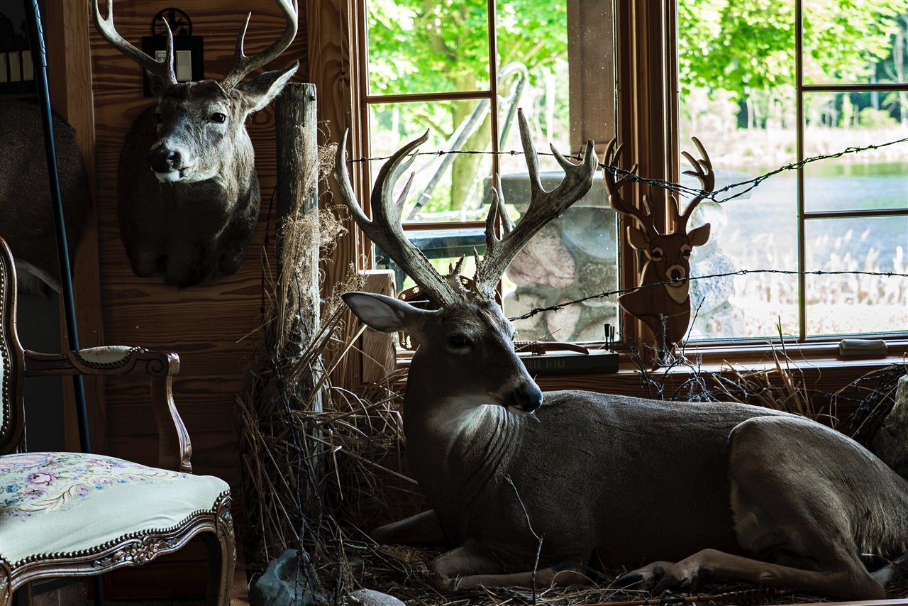 E Street, Grant, MI, 49327-9654