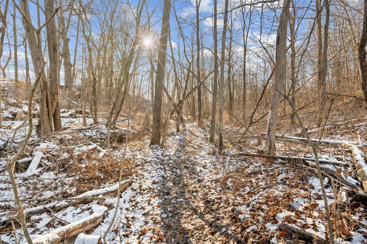 13855 Belding Road, Belding, MI, 48809-9630