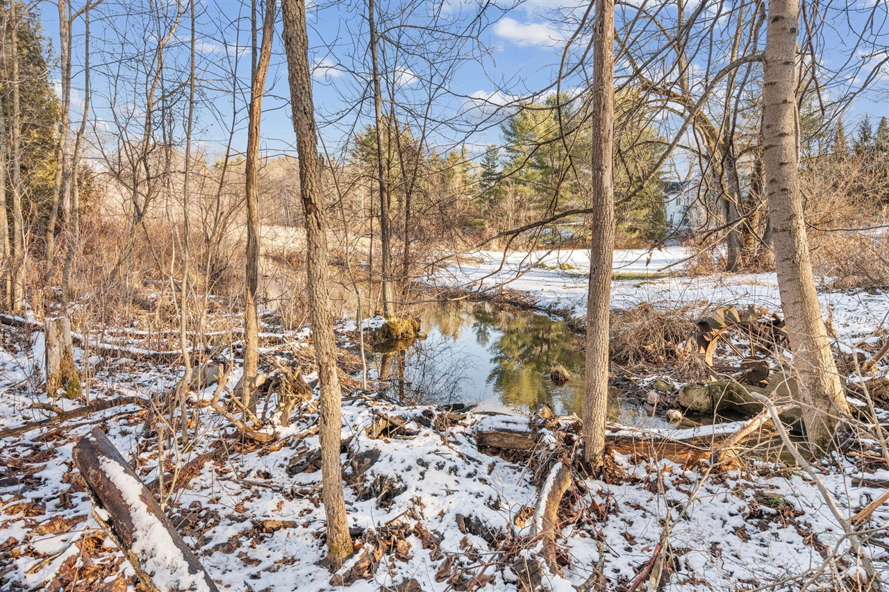 13855 Belding Road, Belding, MI, 48809-9630