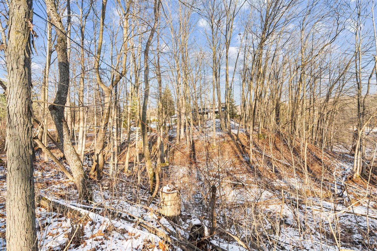 13855 Belding Road, Belding, MI, 48809-9630