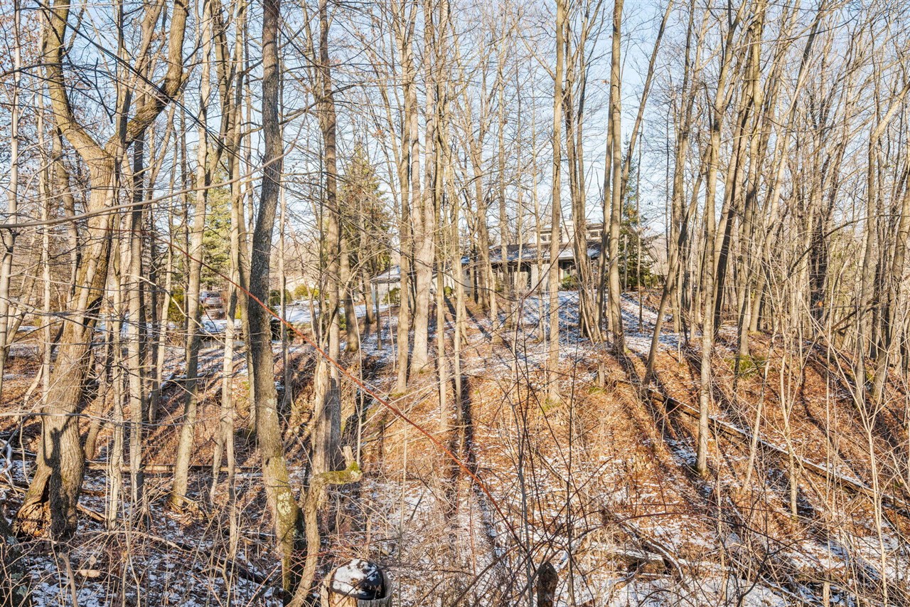 13855 Belding Road, Belding, MI, 48809-9630