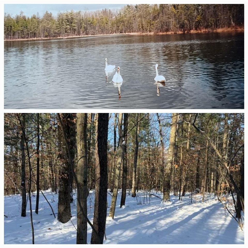 Homes for sale in Stanton, MI | 30 E Stanton Rd, Stanton, MI 48888 | MLS# 70511693