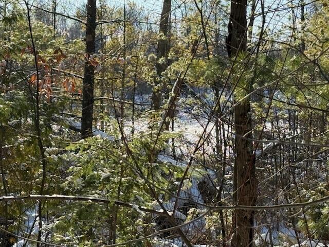 Homes for sale in Stanton, MI | 30 E Stanton Rd, Stanton, MI 48888 | MLS# 70511693