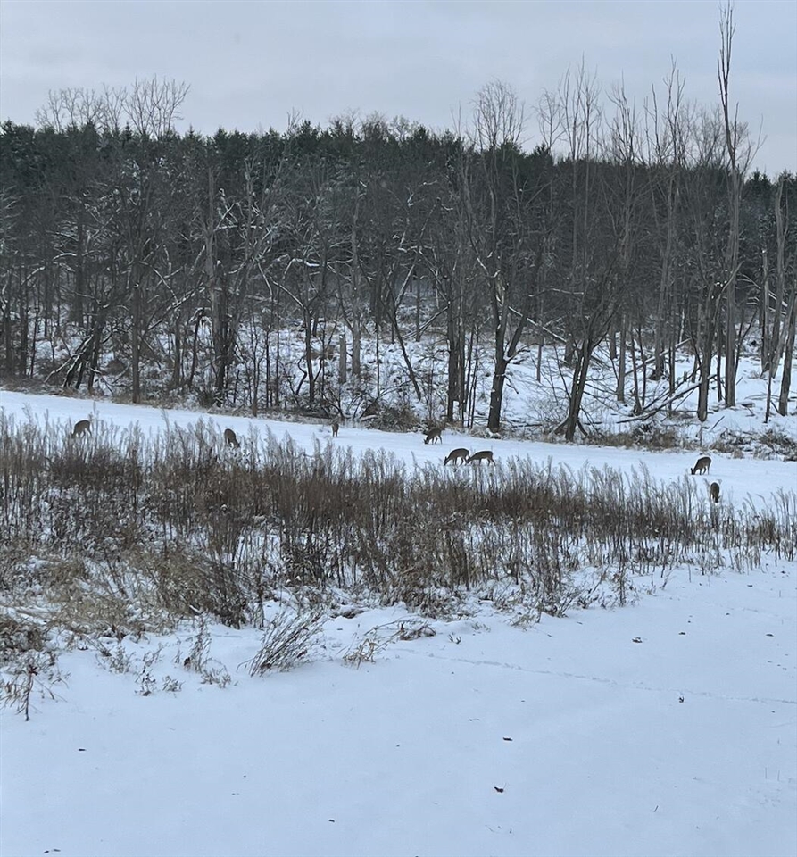 5111 Reading Road, Osseo, MI, 49266-9009