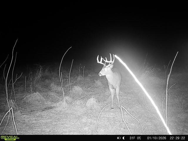 5111 Reading Road, Osseo, MI, 49266-9009