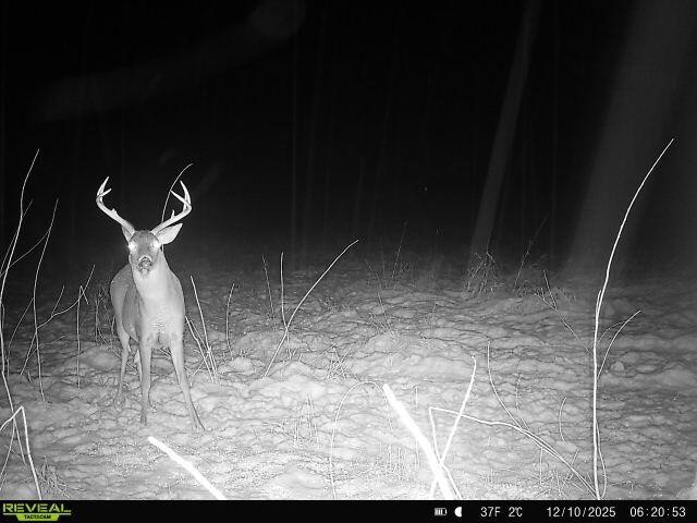 5111 Reading Road, Osseo, MI, 49266-9009