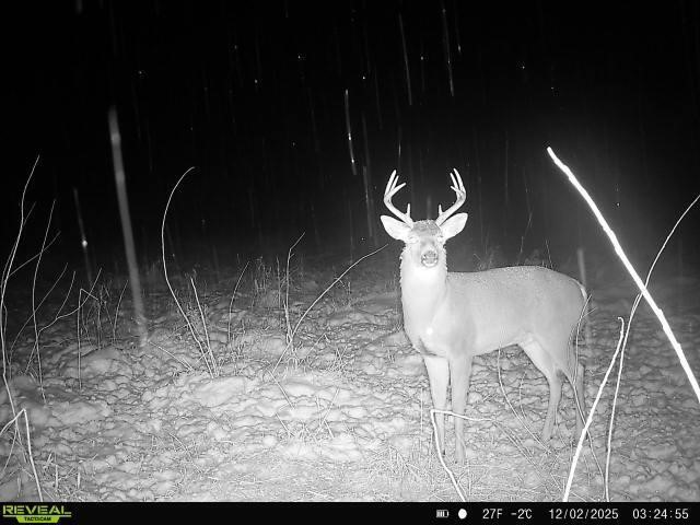 5111 Reading Road, Osseo, MI, 49266-9009